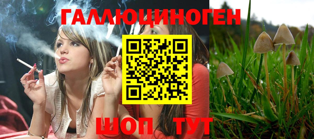 Воткинск  Псилоцибиновые грибы ЛСД  Вход с VPN 